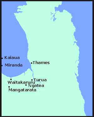Ngatea Map